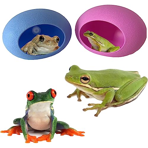 Image of 2Pcs Egg Shaped Frog Habitats with Suction Cups - Cute Frog Terrarium & Dish Holder, Ideal for Tree Frogs, Toads & Tadpoles
