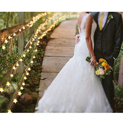 Homeleo Warm White 50 Led Star Fairy Lights With Remote Control, Battery Powered Five-Pointed Star String Lights #TOP5