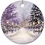 Winter Scene 29
