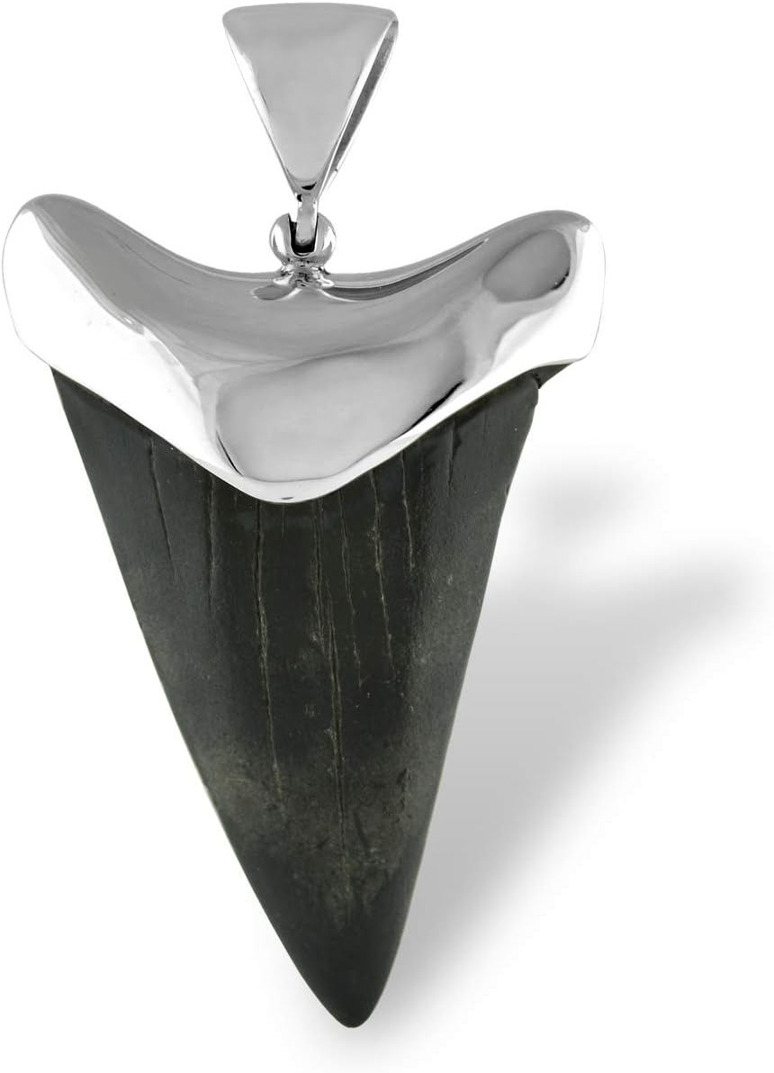 Fossil Shark Tooth Sterling Silver Cap-Set Pendant