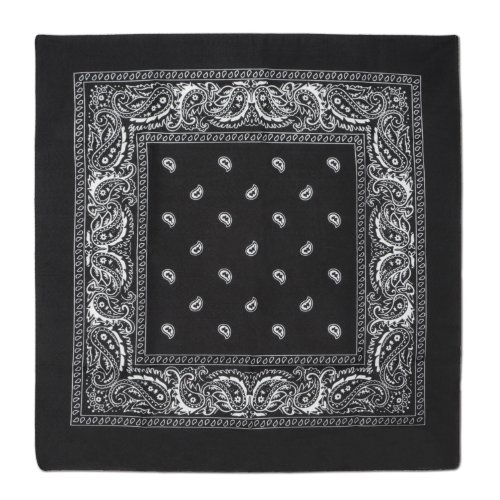 Black Bandana Party Accessory (1 count)