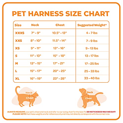 Voyager Step-in Lock Pet Harness - All Weather Mesh, Adjustable Step in Harness for Cats and Dogs by Best Pet Supplies… - Image 5