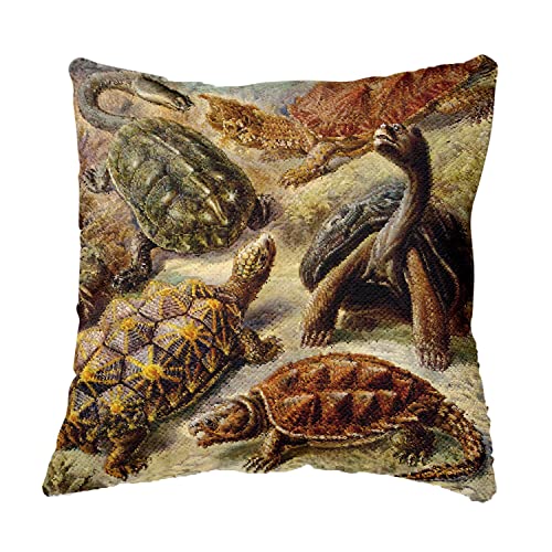 Coussin sequin turquoise tortue une idée cadeau originale pour passionnés - 4