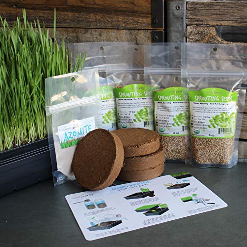 Organic Wheatgrass Growing Starter Kit - Grow & Juice Wheat Grass - Includes Non-Gmo, Organic Wheatgrass Seeds - For Healthy Wheatgrass Shots, Home, Garden, And Cat Grass #TOP4