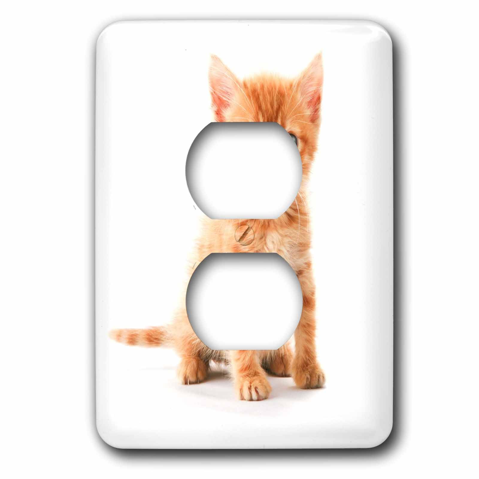 Plinthe triste ? Plaque 2 prises joli chaton tigré orange déco