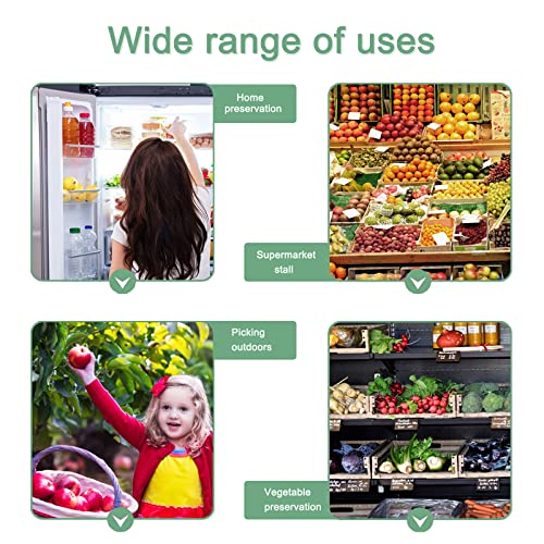Jizvxe DSGRJK 100 Pack Clear Plastic Square Hinged Food Container,Disposable Plastic To Go Containers With Clear Lids,Cake Slice Containers Clamshell Takeout Tray thumb #4