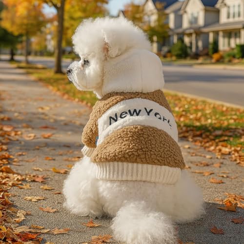 yH~ p ybgEFA r㴃t[X O ӂӂ 킢 g t[htn[lXt hEFA ^ ^ 􂦂  m hbOEFA wJ ~pEFA U o ˊO^