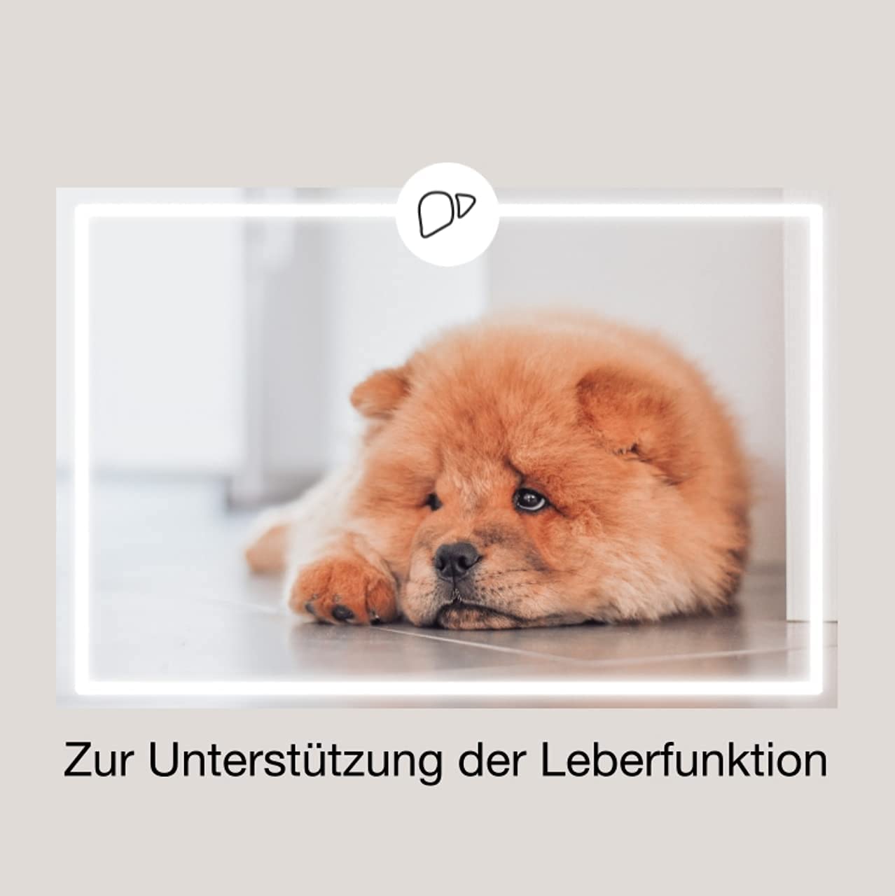 Hepar (2 x 100 Kapseln) | Leberschutz & Entgiftung, mit innovativem Karaliv, Silymarin und Cholin, Ergänzung für Hunde aus Deutschland