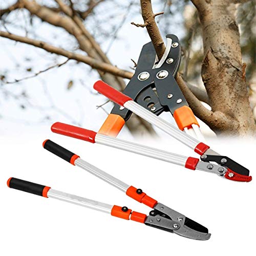 Attrezzo da giardino- Attrezzi per potatura Teles Troncarami a cricchetto Troncarami Estensibile Taglierina da giardino Attrezzi per cesoie da ramo Attrezzi manuali da giardino Attrezzi per