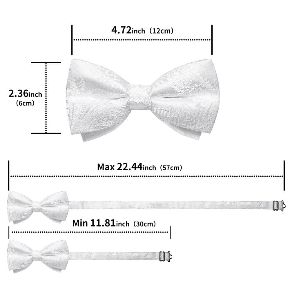 Pajarita con Joya para Boda, para Hombre, con Nudo para Negocios, Juego de pañuelo (Gris Claro)