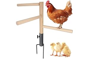 Chicken Perch Toy for Coop, Chicken Perch Wooden with Metal Ground Plug