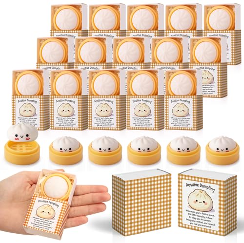 Wettarn 25 Sets Mini Positive Dumpling Stress Balls with Gift Boxes White Xiao Long Bao Party Favors Appreciation Gifts for Employee Coworker Friends Office Positive Relief Desk Decor
