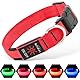 Illumifun Leuchthalsband Hund Aufladbar LED Hundehalsband Wasserdichtes Leuchthalsband für kleine und große Hunde, Hundelichter für nächtliche Spaziergänge (Rot, Große)