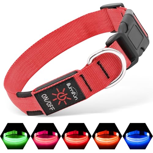 Illumifun Leuchthalsband Hund Aufladbar LED Hundehalsband Wasserdichtes Leuchthalsband für kleine und große Hunde, Hundelichter für nächtliche Spaziergänge (Rot, M)