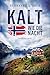 Kalt wie die Nacht: Auftakt der neuen Norwegen-Krimi-Reihe vom Autor der Arne-Eriksen-Trilogie (Ein Fall für Wolf Larsen, Band 1)