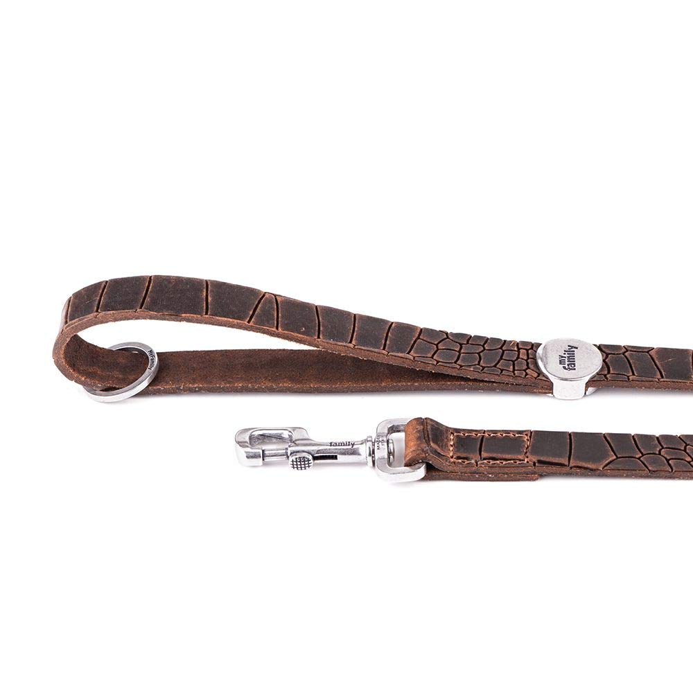MyFamily Guinzaglio per Cane in Vera Pelle Italiana Made in Italy, Finiture Metalliche in Argento Antico, Pratico e Resistente, Fatto a Mano, Collezione Tucson