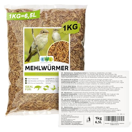 Mehlwürmer getrocknet 1kg = 6500ml Insektensnack für Vögel, Fische, Schildkröten, Nager und Reptilien, Vogelfutter Wildvögel Ganzjährig, Eichhörnchen Futter, Igelfutter