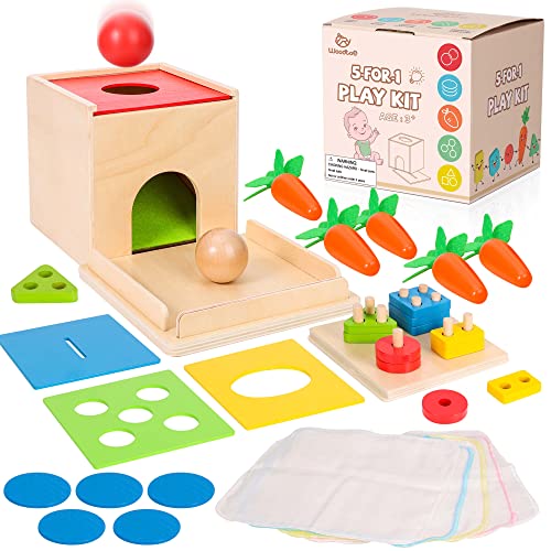 Image of Woodtoe Montessori Toys for Babies 3 Year Old, Wooden Educational Toy, 5 in 1 Play Kit Set with Object Permanence Box, Baby Tissue Box, Carrot Harvest, Coin Box, Toddler Early Development Toy for Baby