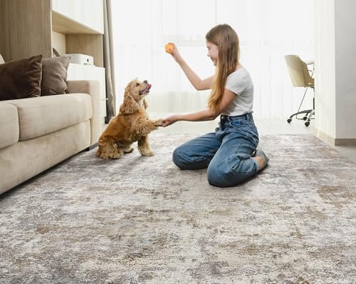 10x14 Area Rug Living Room Rugs - Washable Neutral Modern Abstract Soft Thin Large Rug Indoor Floor No Slip Rug Carpet for Bedroom Under Dining Table Home Office Decor - Brown Grey