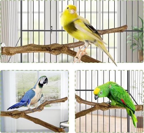Image of kathson Natural Parrot Perch Bird Stand Pole Wild Grape Stick Paw Grinding Fork Parakeet Climbing Standing Branches Toy Chewable Cage Accessories for Small Budgies Cockatiels Lovebirds