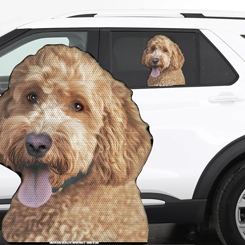 Image of Doodle Dog Labradoodle Ride-A-Long 12 inch Perforated Laminated See Thru Window Decal attaches to Rear Side Window. Made in USA.