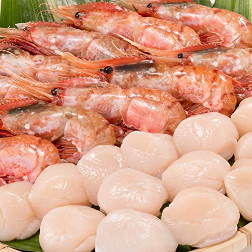 kC ق ڂ񂦂уZbg Ⓚ