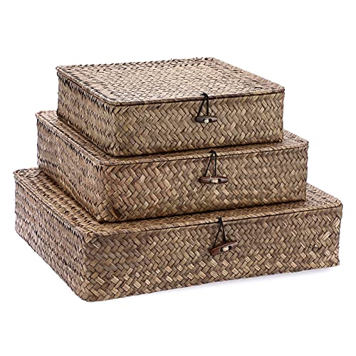 Image of Hipiwe Set of 3 Flat Wicker Basket Bins with Lid - Handwoven Seagrass Boxes