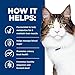 Hill's Prescription Diet w/d Multi-Benefit Digestive/Weight/Glucose/Urinary Management with Chicken Wet Cat Food, Veterinary Diet, 5.5 oz. Cans, 24-Pack