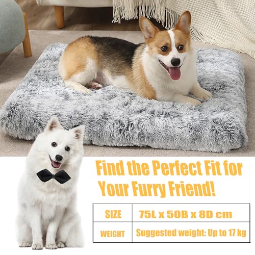LuckyZoo77 Hundebett Waschbar 75x50cm – Weiches Hundekissen aus Plüsch, rutschfest & Gepolstert, für Mittel Hunde & Katzen, Ombré-Grau