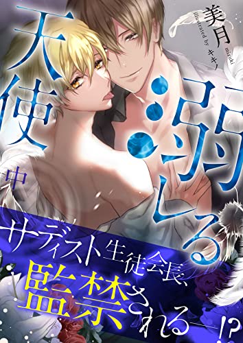 溺レる天使(中)【イラスト付き】【単行本書き下ろしSS付き】 溺レるシリーズ (エクレア文庫)