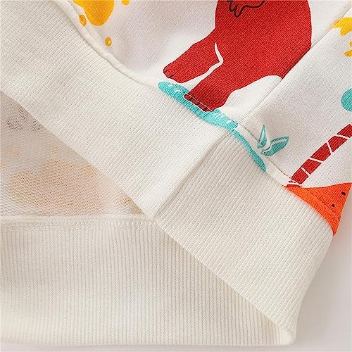 Kids Cute T-Shirt Kids Sweatshirts Soft Cotton Warm Crewneck Cartoon Dinosaur Long Sleeve Pullover Tops For Boys3