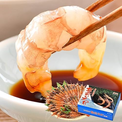 ガラエビ がらえび がらエビ 500g ガマエビ ガサエビ モサエビ 刺身 越前産 福井県 冷凍食品