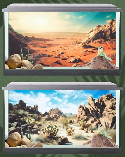 Image of Breling 4 Pcs 30 x 11.8 Inch Reptile Habitat Background with Nano Glue Gobi Sun Cactus Stone and Green Tree Fern Stream Terrarium Background Polyester Durable Aquarium Accessories