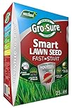 Gro-Sure 20500254 Aqua Gel Coated Fast Start Smart Grass Lawn Seed, 25 m2, 1 kg - Blue