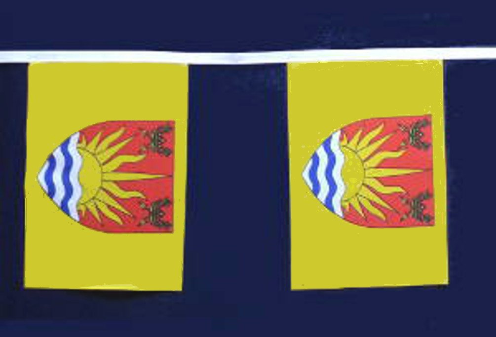 Flagtex Suffolk Old Fabric Bunting – 9m with 30 Flags – Premium Indoor & Outdoor Decoration — image 1