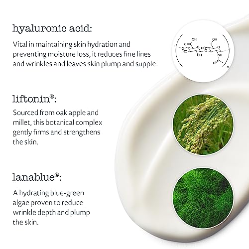Elemental Herbology Cell Active Moisturiser 50ml, 50 ml (Pack of 1) - Image 3
