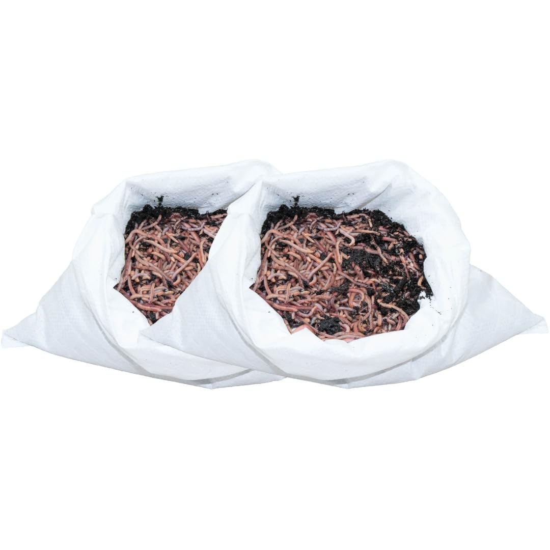 SUPERWURM 2 kg Gartenwürmer - für 200 m² Fläche - Bodenverbesserer - Die einfachste und natürlichste Methode Ihren Gartenboden auf zu lockern und zu durchlüften - Lehmboden auflockern