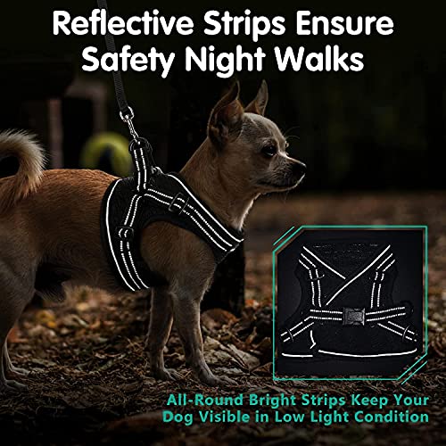 double d ring dog harness