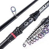 Goture Telescopic Fishing Rod, Spinning Fishing Pole Carbon Fiber Sea Saltwater Freshwater for Bass Trout Salmon 5.9ft