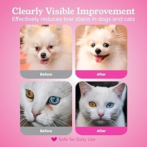 Dog eye wipes tear stain remover for dogs and cats gentle cleansing for puppy eyes removing discharge pet face and ears essential grooming supplies paw cleaner wipes 60 pcs   cucciolini doodles