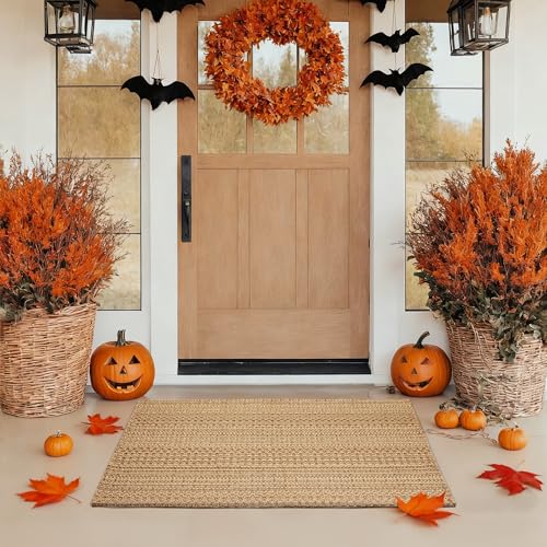 MatEssenz Front Door Mat Outside Entrance, 27.5'x43' Front Porch Rug,...