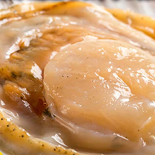 �Ⓚ �k�t���z�^�e 10�� �k�C��