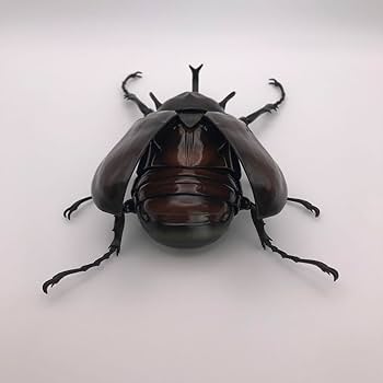 限定版 いきもの大図鑑アドバンス ゾウカブトとヘラクレスオオカブト コンプリート Amazon.co.jp: いきもの大図鑑アドバンス ゾウカブトと