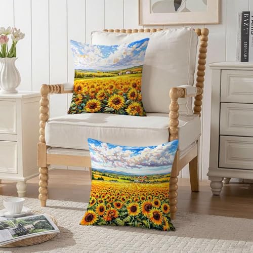 Housse coussin 70x70cm en velours double face de qualité premium et imperméable - 4