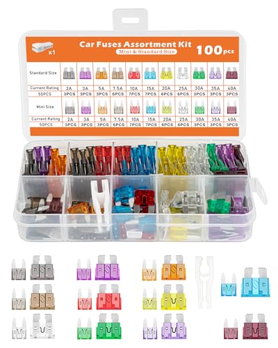 Acual 100 PCS Fusible Voiture Set, 50 Standard Fusibles, 50 Mini Fusibles, avec Extracteurs, 2A 3A 5A 7.5A 10A 15A 20A 25A 30A 35A 40A pour Auto Moto Truck RV...