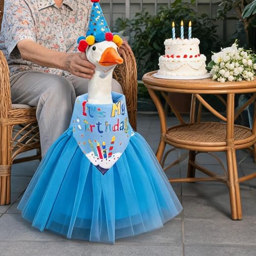 Disfraz de ganso para cumpleaños y decoración de fiestas en el salón de casa 3