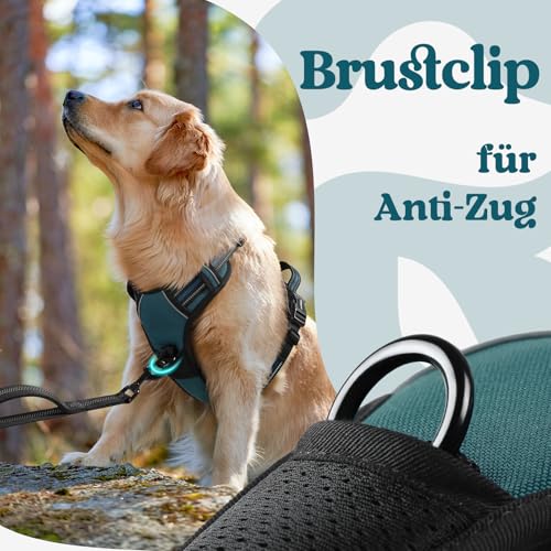 rabbitgoo Hundegeschirr Grosse Hunde, Verstellbare Geschirr Hund ohne Zug & Würgen, Anti Zug hundegeschirr mit Griff, weich Gepolsterte Reflektierende Brustgeschirr, Dunkelgrün L