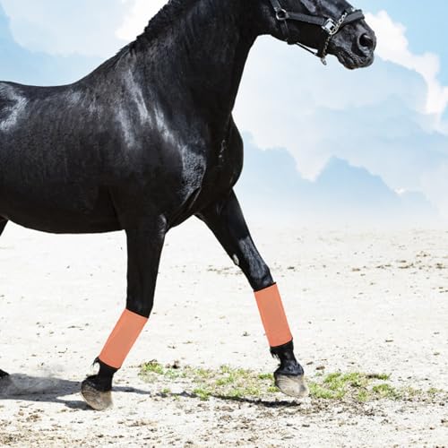 Manguitos antimoscas para caballos con protección UV y tejido transpirable 7