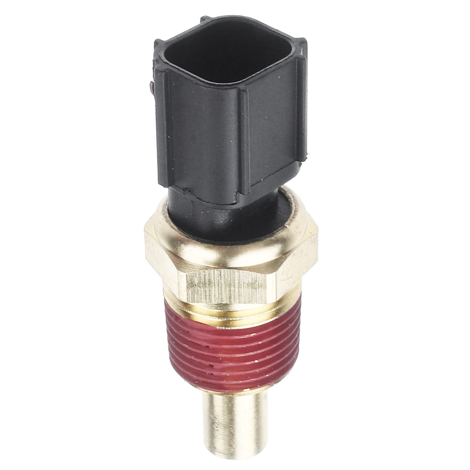 Organic Cinnamon Ground (Ceylon) U2013 Busy Beans Organic