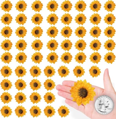 60 PCS Girasoles Secos Naturales para Manualidades miniatura 1